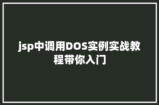 jsp中调用DOS实例实战教程带你入门  第1张