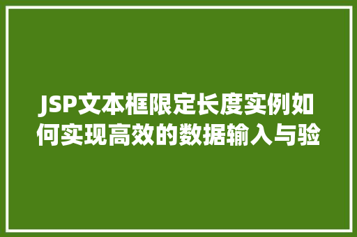 JSP文本框限定长度实例如何实现高效的数据输入与验证