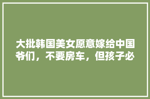 上海关键词排名优化例子如何提升网站流量与曝光度