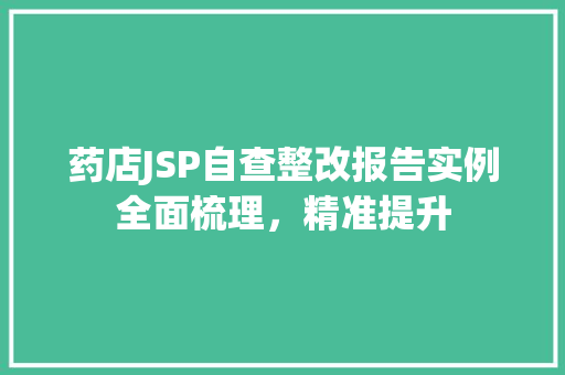 药店JSP自查整改报告实例全面梳理，精准提升