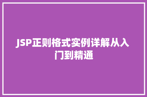 JSP正则格式实例详解从入门到精通