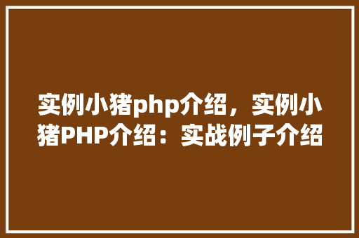 实例小猪php介绍，实例小猪PHP介绍：实战例子介绍